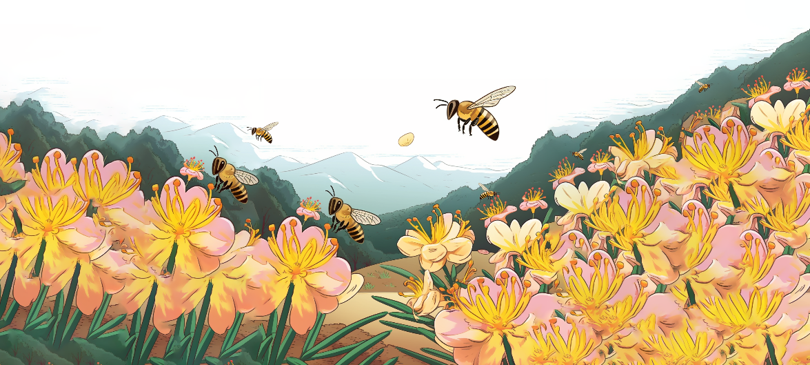 Hero image with bees flying over manuka flowers
