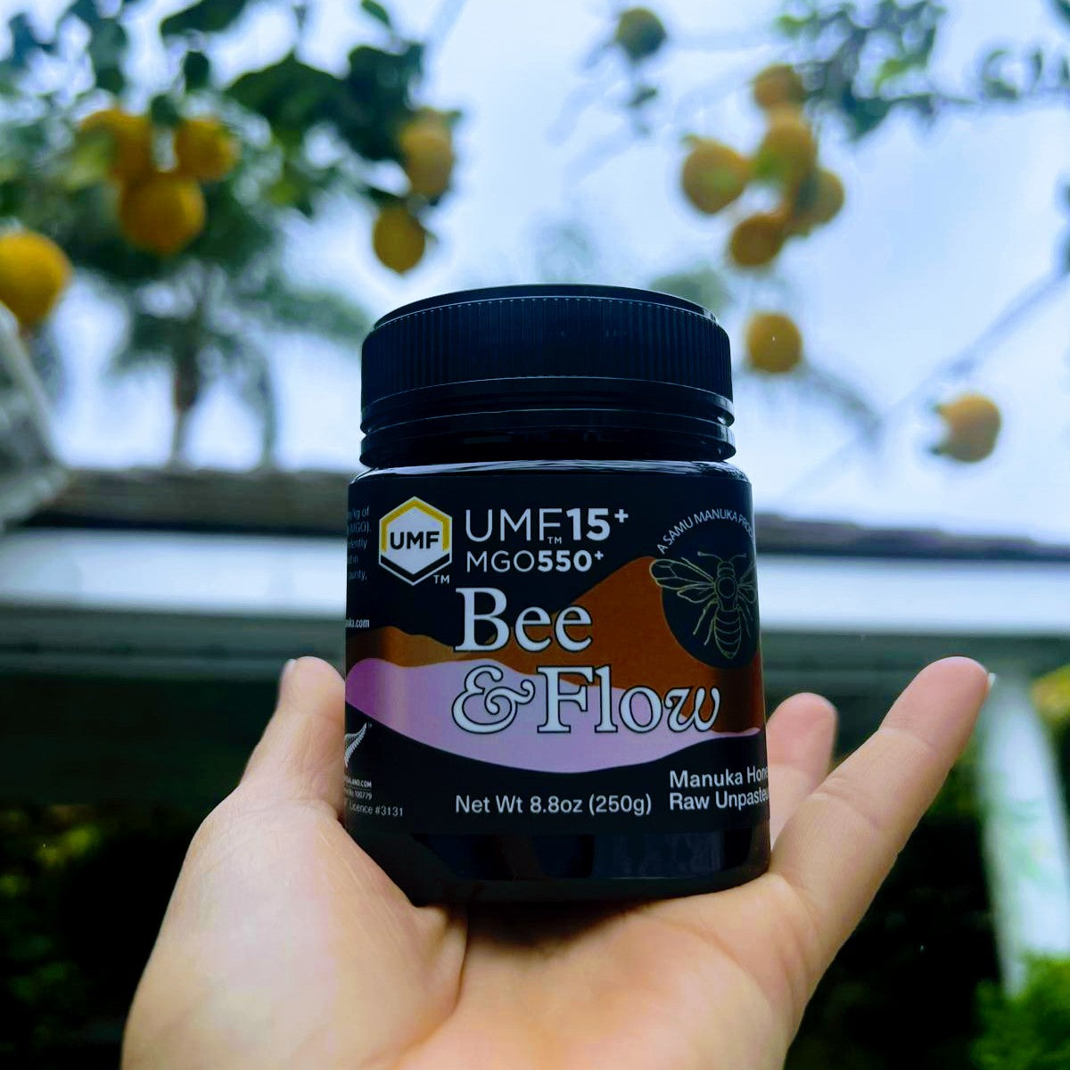 550+ MGO (15+ UMF) Manuka Honey – SAMU Manuka