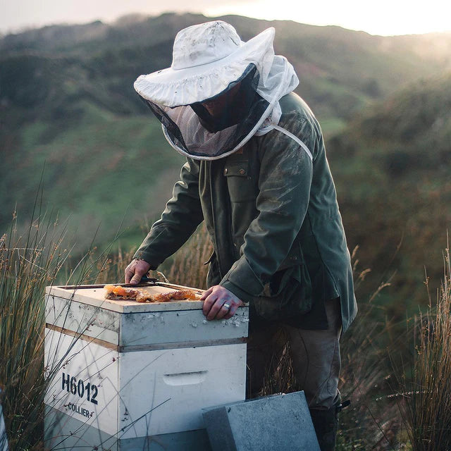 Beekeeper tending to hive